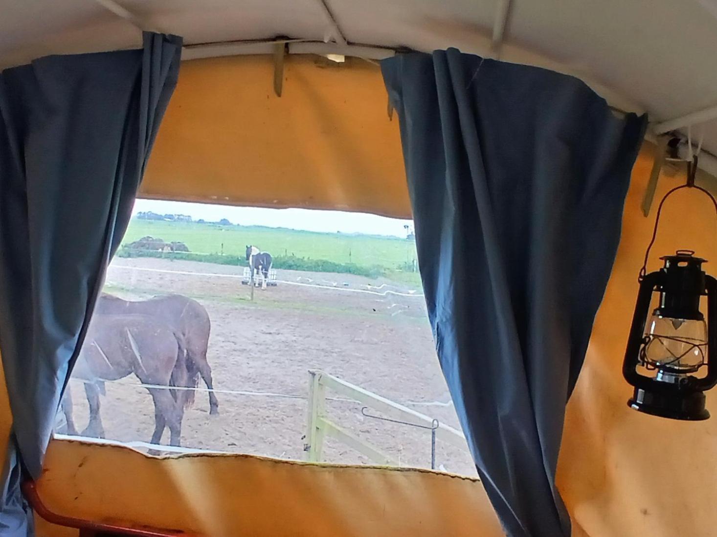 De Huifkar, Trekkershut Bij Sneek Hotel Hommerts Ngoại thất bức ảnh